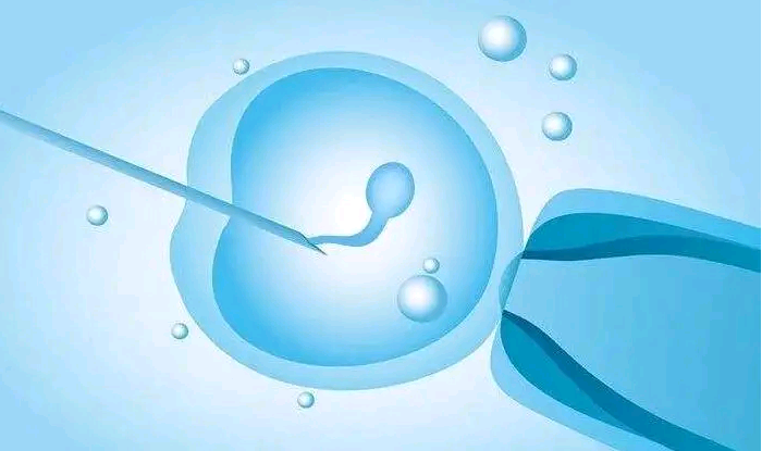 国内哪里洗精做试管,新生NewBorn试管婴儿中的洗精是什么？